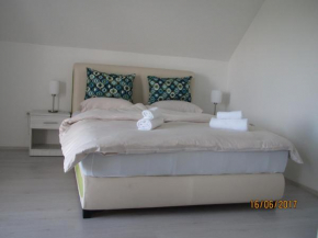  Guest House Baranin Pitomine  Жабляк